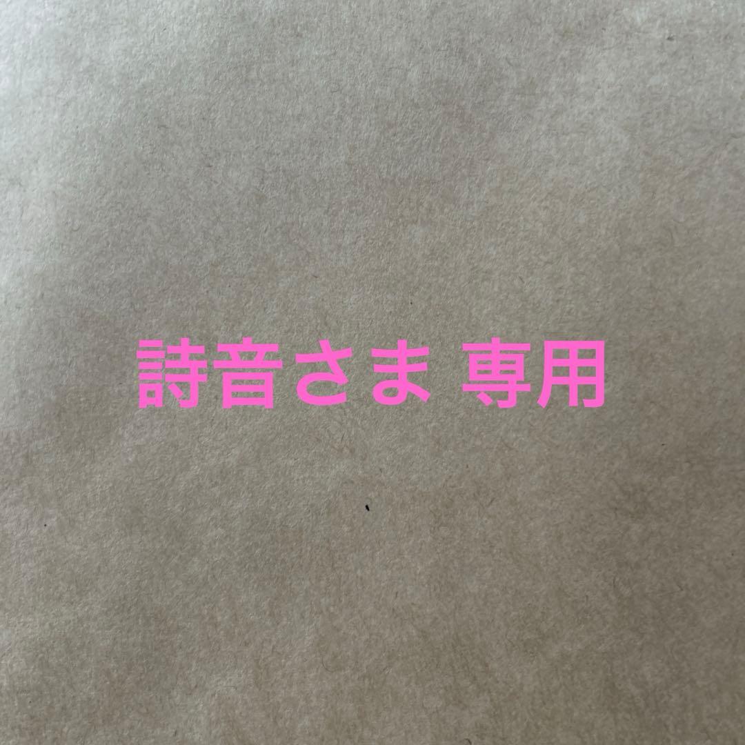 FLUX スノーボードブーツ BOAシステム　23.0