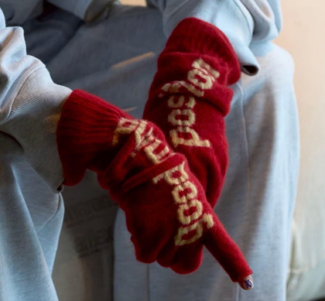 Don't tell anyone ドンテル　手袋　wool gloves