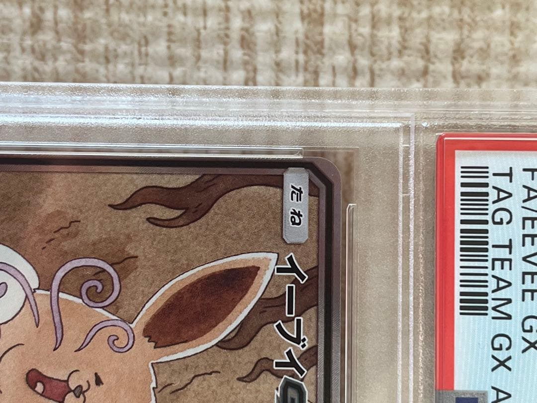 イーブイGX SA psa9