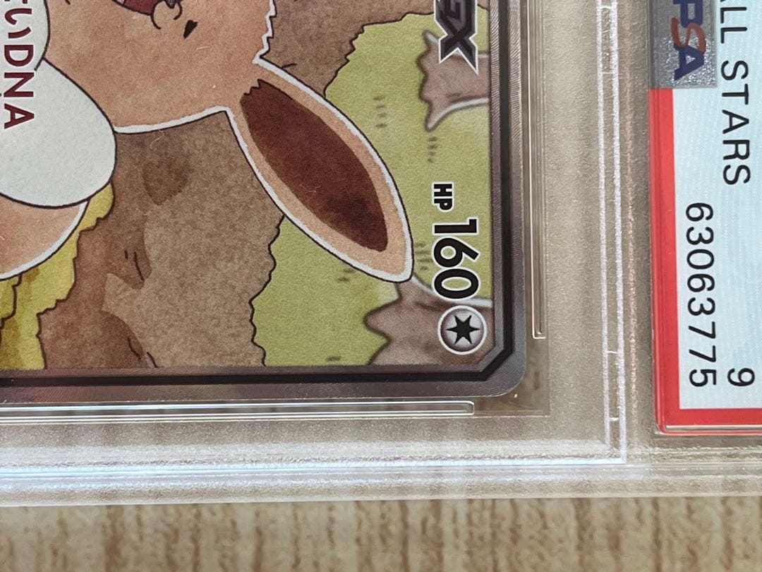 イーブイGX SA psa9