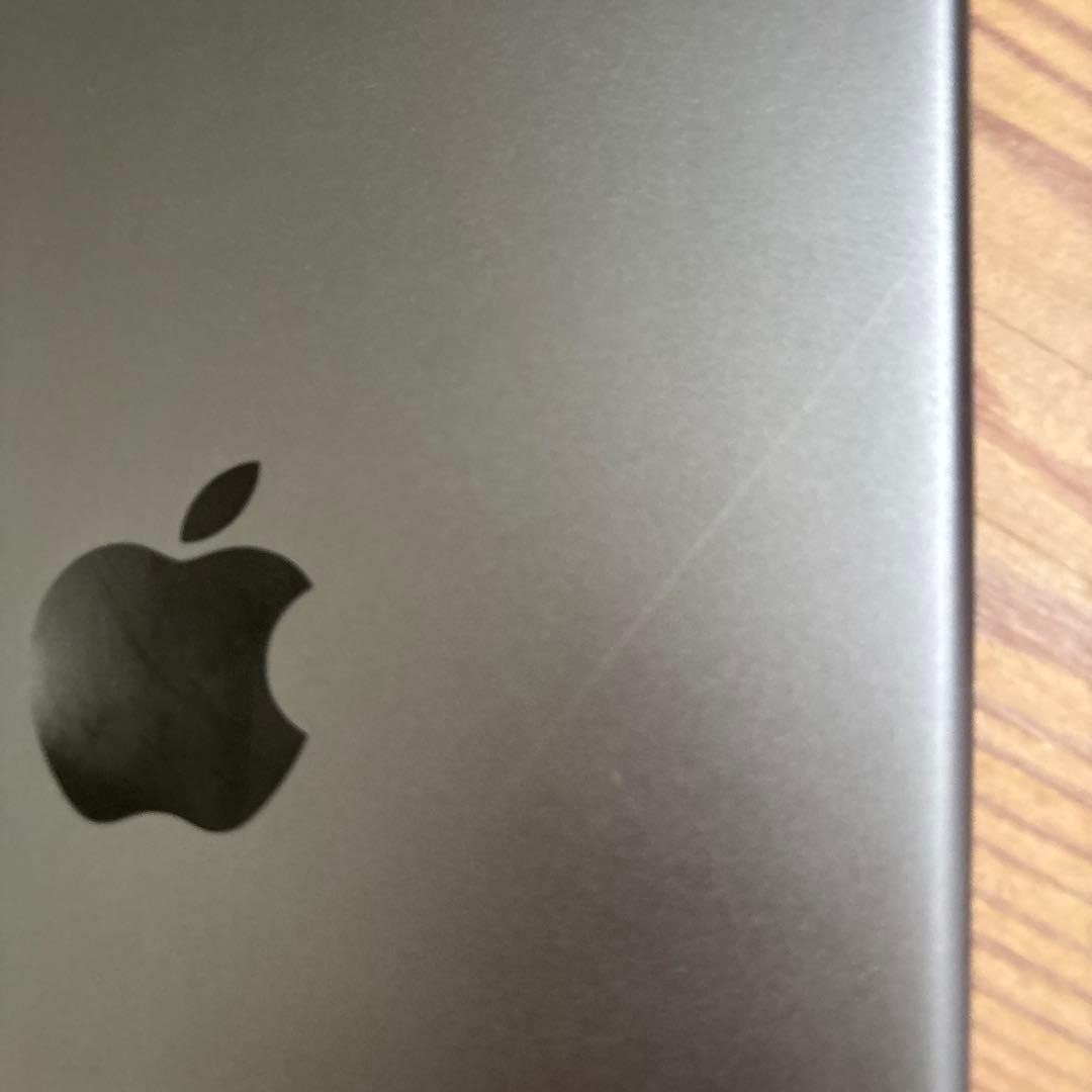 iPad mini 5 グレー　64GB 本体 フィルムおまけ付き