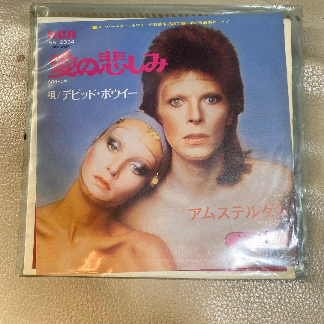 d*g様 デビッド・ボウイ Sorrow SS-2334
