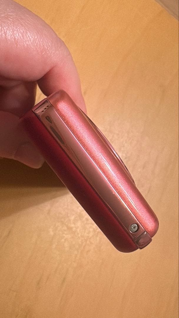 【美品】Panasonic LUMIX DMC-FX1 デジカメ ケース付き