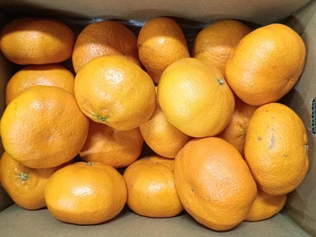 【送料無料】愛媛産　甘平　かんぺい　３L　約10ｋｇ（5ｋｇｘ2箱）