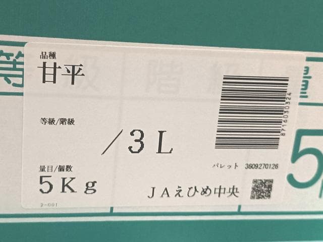 【送料無料】愛媛産　甘平　かんぺい　３L　約10ｋｇ（5ｋｇｘ2箱）