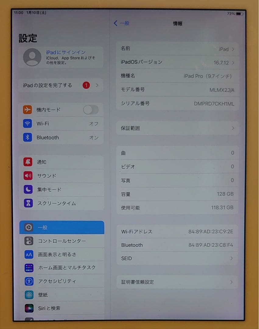 CKH1M完動品iPad Pro9.7インチ(A1673)本体128GB送料込