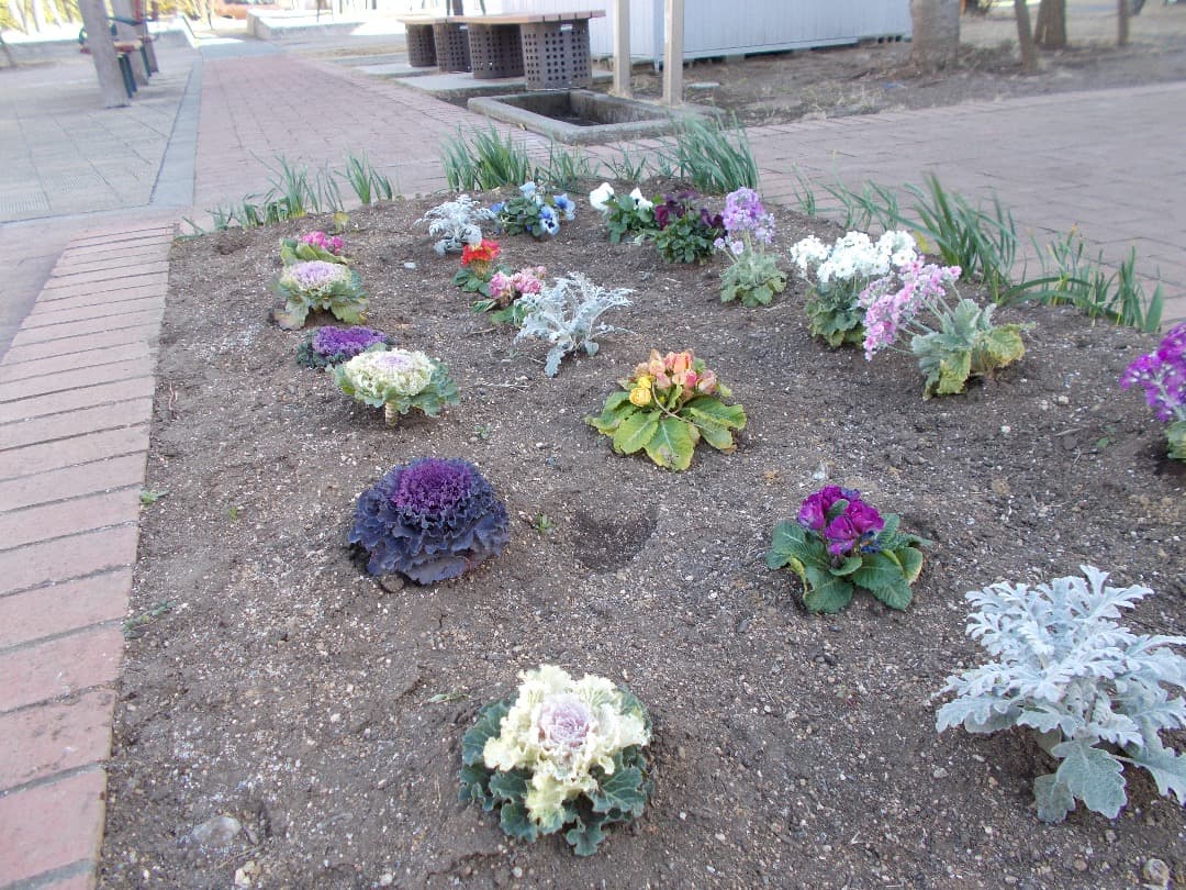 実写美⭕️良品【動作確認済】Nikon ニコン COOLPIX L31 コンデジ