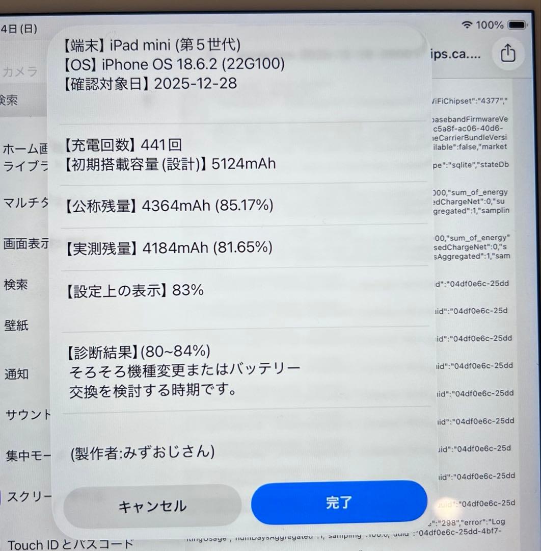 iPad mini 第5世代 256GB Wi-Fiモデル シルバー 本体