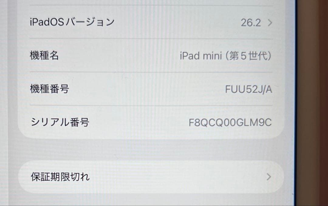 iPad mini 第5世代 256GB Wi-Fiモデル シルバー 本体