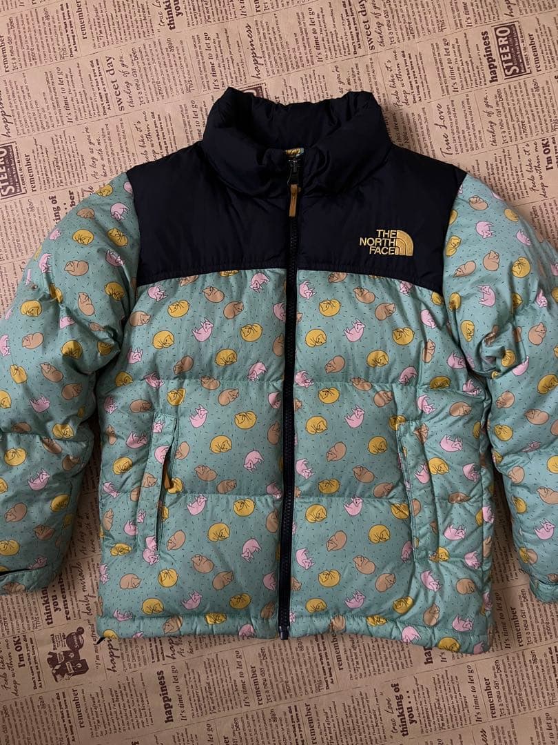 【正規品・レア】THE NORTH FACE✖️ミナペルホネンコラボヌプシダウン
