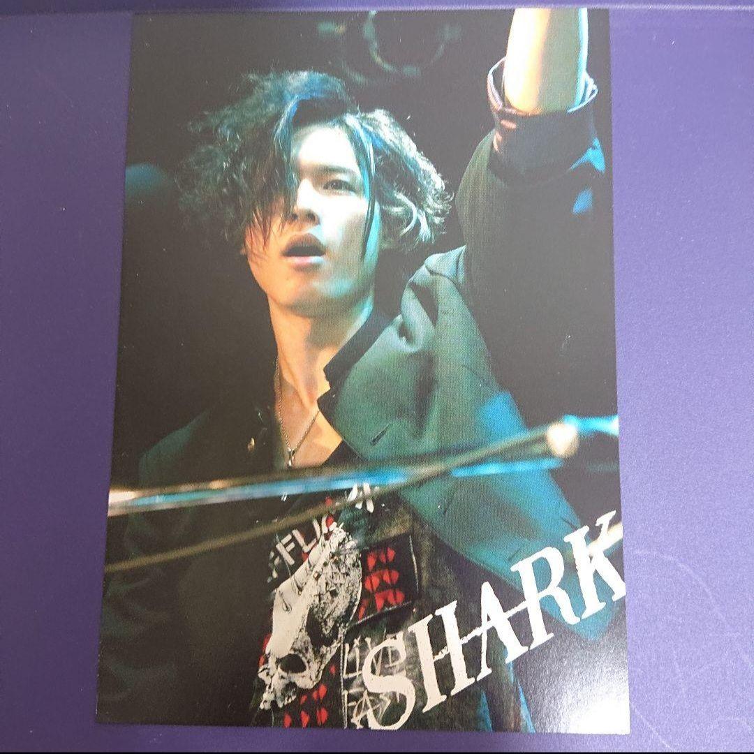 SHARK DVD-BOX 豪華版 初回限定生産 5枚組 平野紫耀