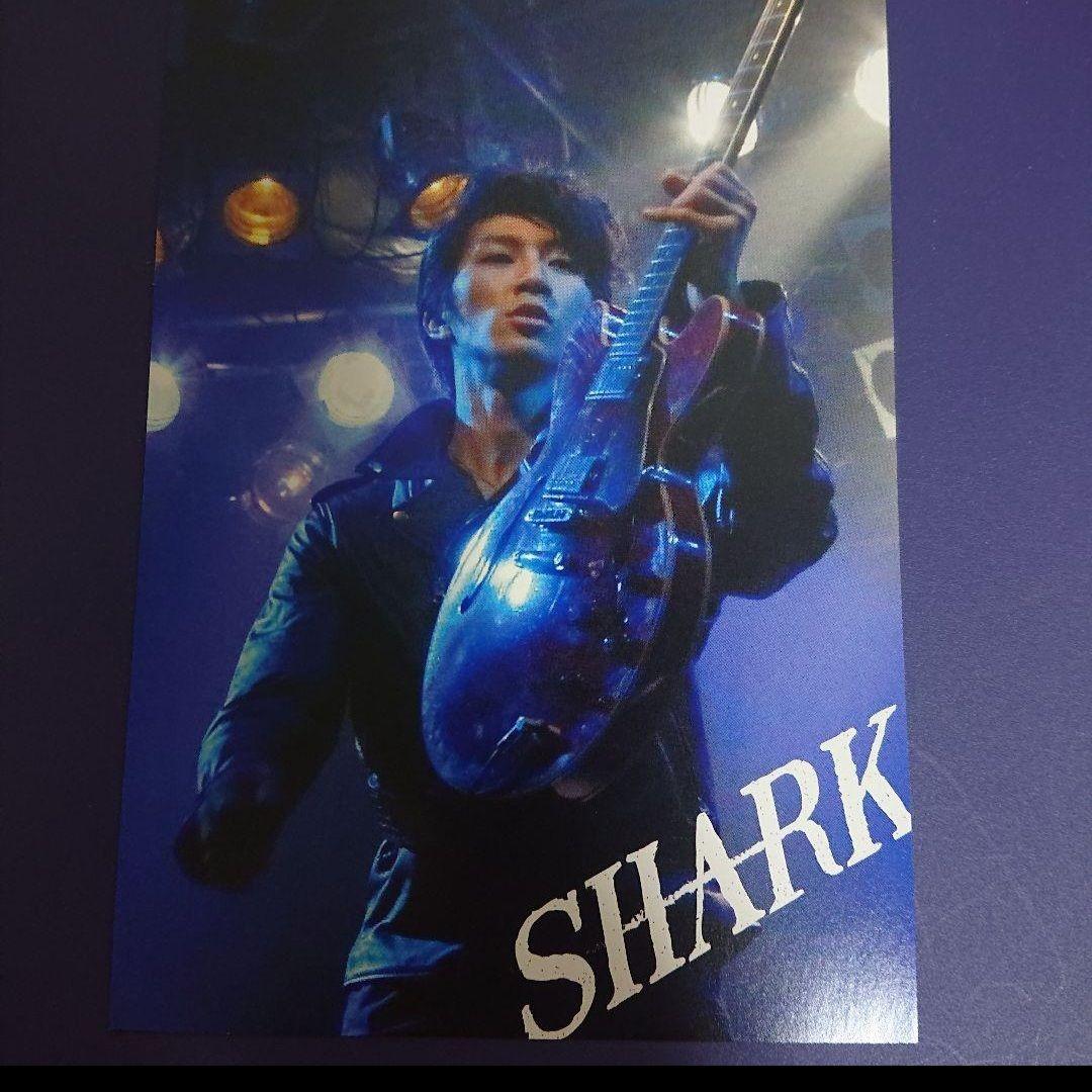 SHARK DVD-BOX 豪華版 初回限定生産 5枚組 平野紫耀