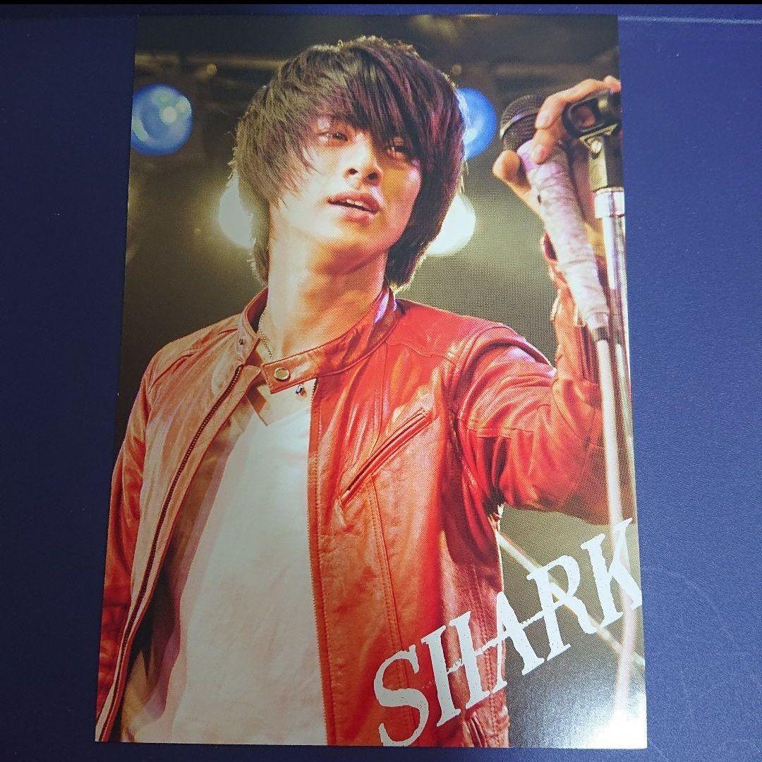 SHARK DVD-BOX 豪華版 初回限定生産 5枚組 平野紫耀