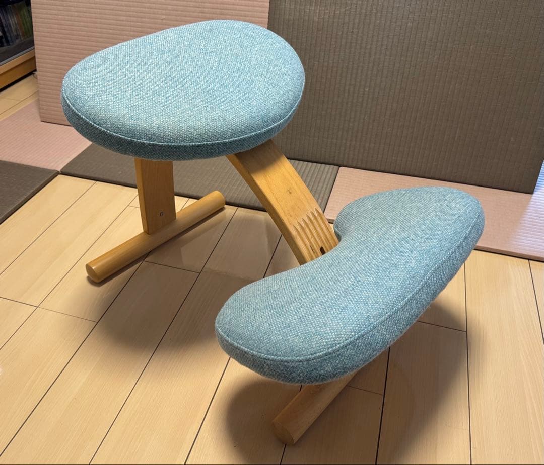 Rybo社 バランスチェア・イージー 純正カバー（ブルー）付