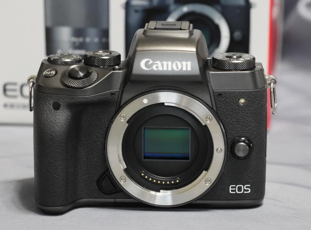 週末値引美品Canon EOS M5