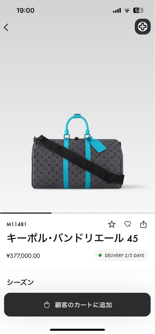 Louis Vuitton キーポル・バンドリエール 45