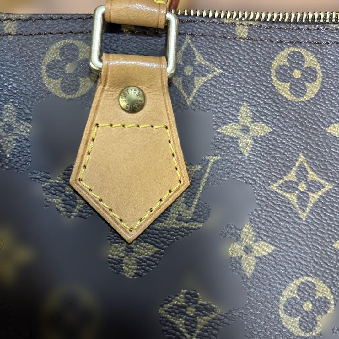 LOUIS VUITTON ルイヴィトン モノグラム スピーディ30