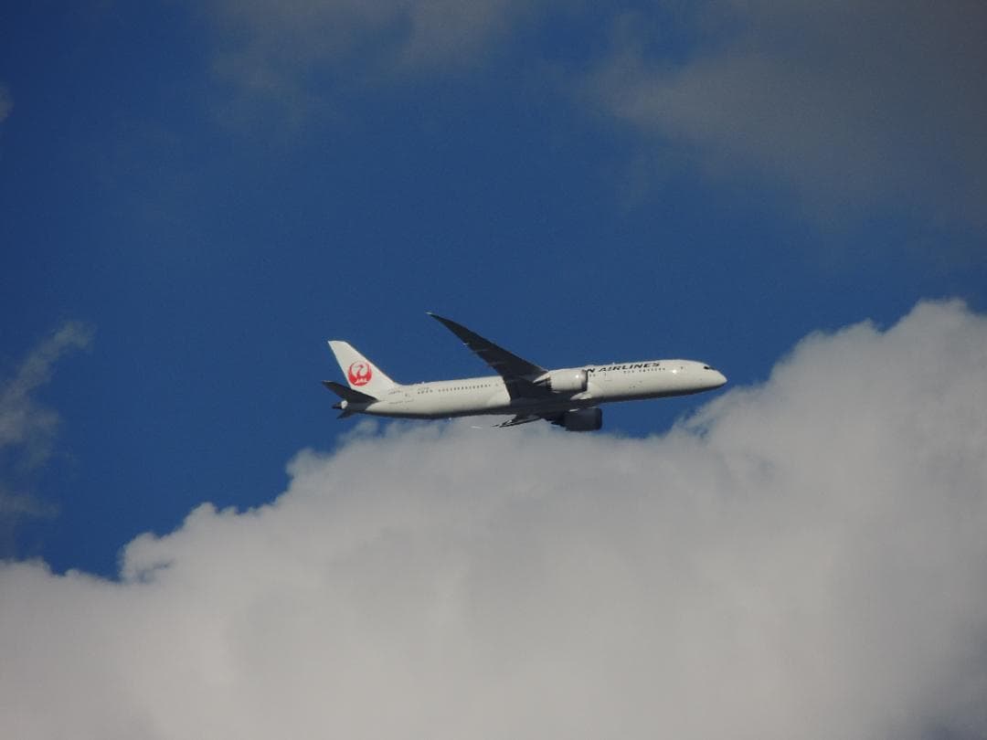 ❤最終特売特価❤FUJIFILM FINEPIX S9800 　50倍ZOOM