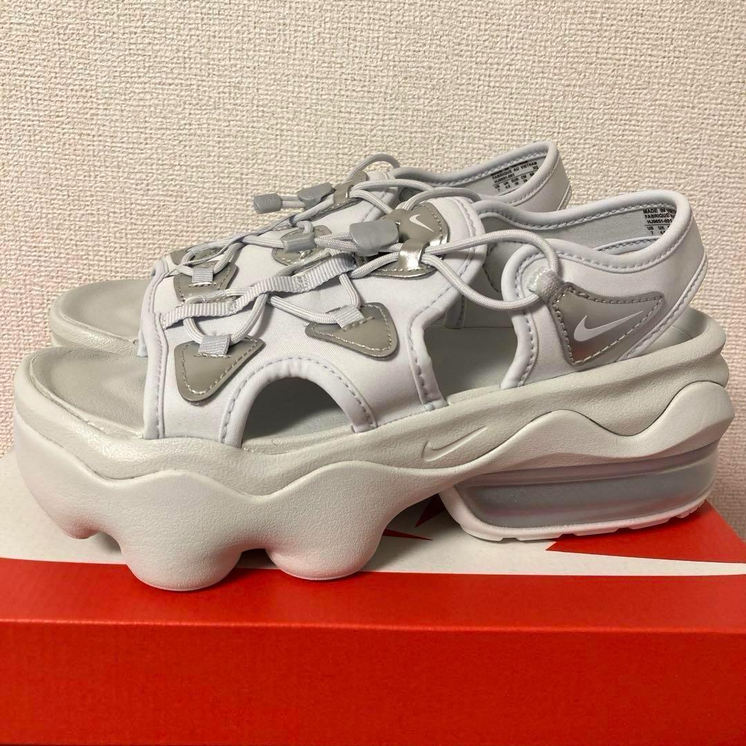 24cm ナイキ　エアマックスココ　グレー シルバーHJ9651-001