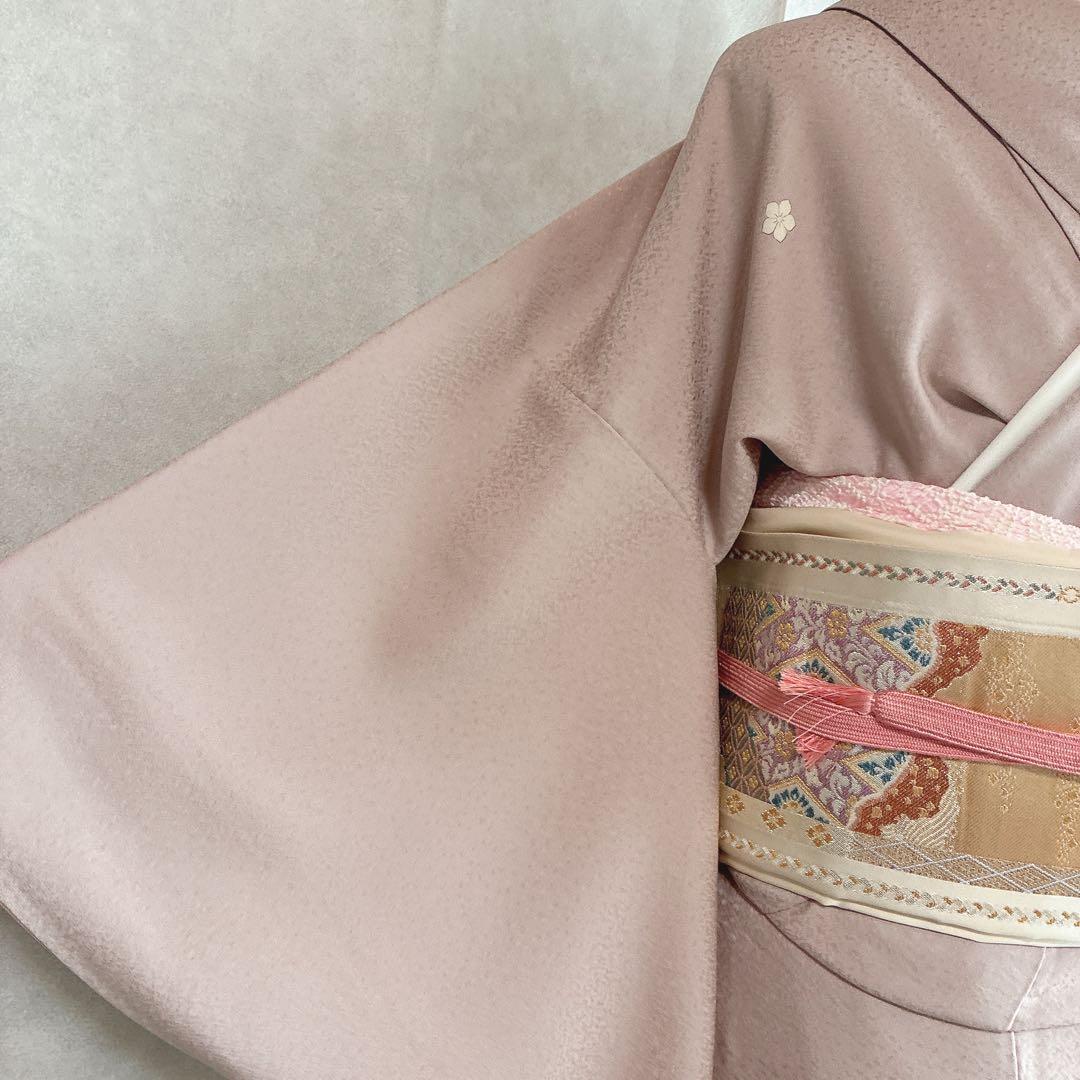 色留袖　フルセット　着物　正絹　五つ紋　大人の薄梅　気品やわらか　梅枝　J9