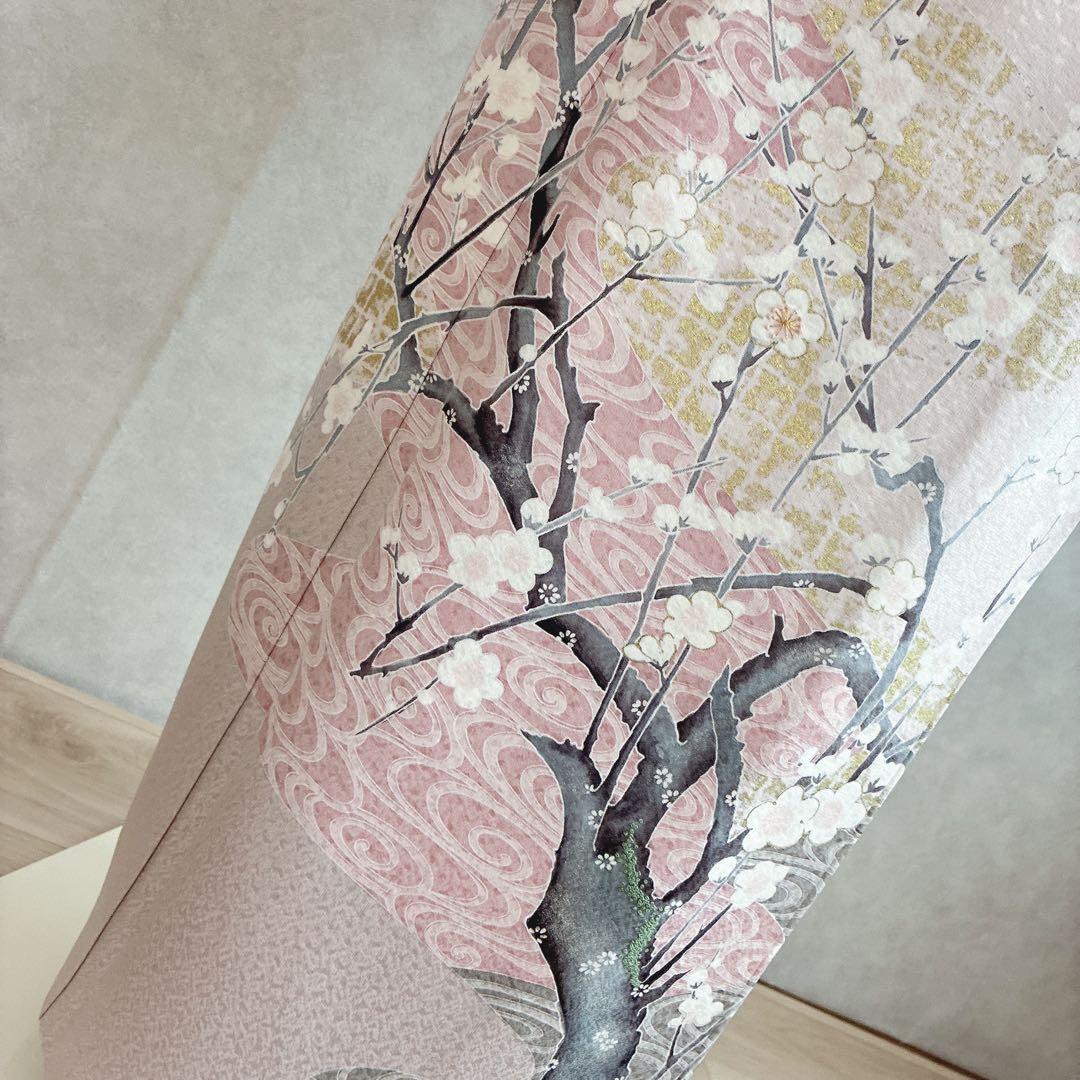 色留袖　フルセット　着物　正絹　五つ紋　大人の薄梅　気品やわらか　梅枝　J9