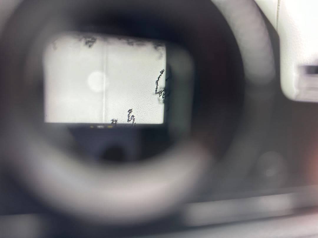 フィルムカメラ Nikon Nikomat FT2 nikkor 50mm f/1.4