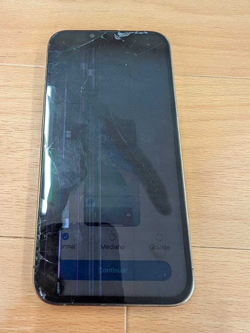 Apple iPhone 13 Pro 256GB ジャンク