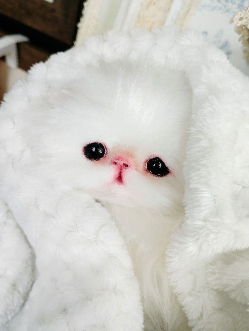 子猫♡寝起きのシロップちゃん♡アートドール♡ぬいぐるみ♡