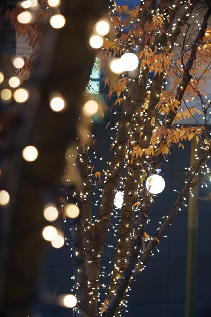 ライカ沼の入口！Leica Hektor 135mm F4.5 オールドレンズ