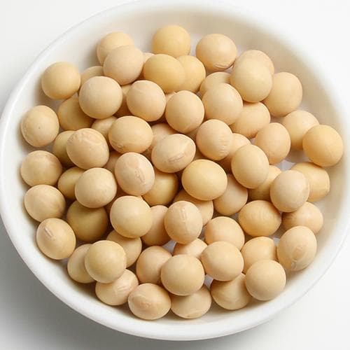 期間限定値下げ中◆超美肌ミヤギシロメ大豆 令和7年産 10kg★有機栽培ダイズ★