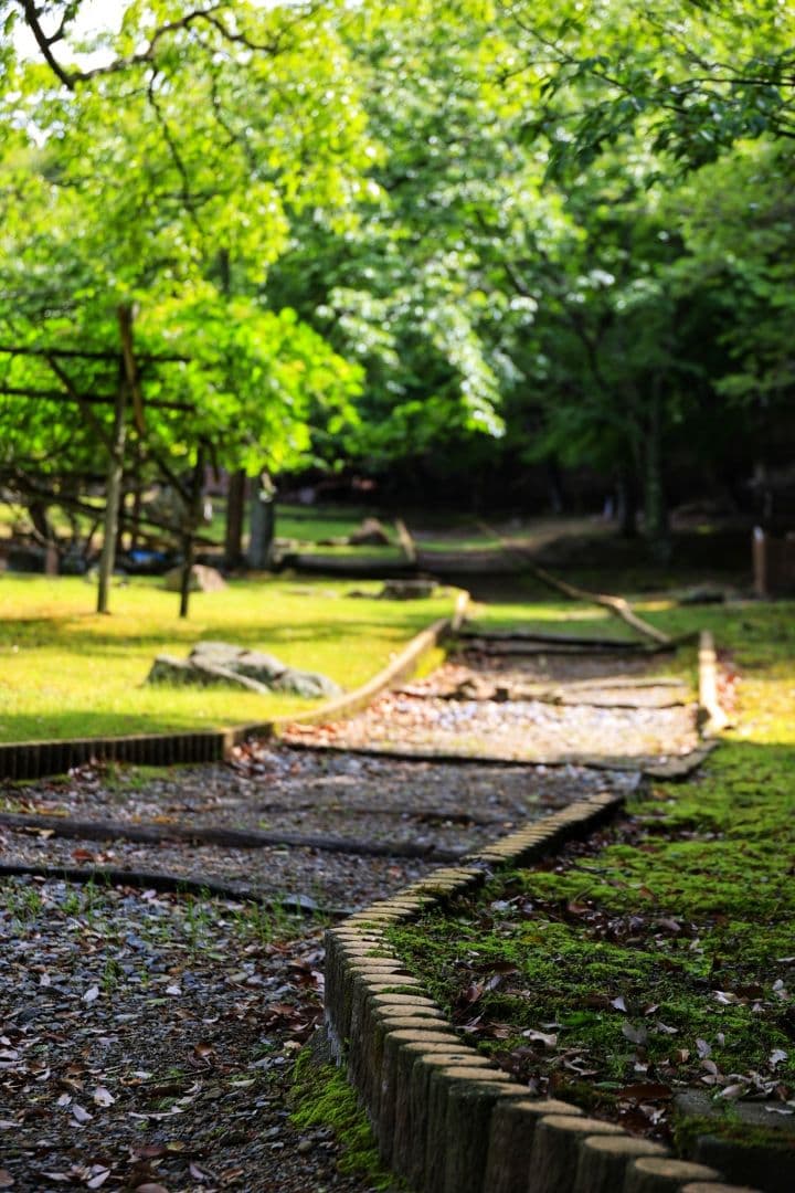 I*e様 NOKTON 40mm F1.2 Aspherical フォクトレンダ