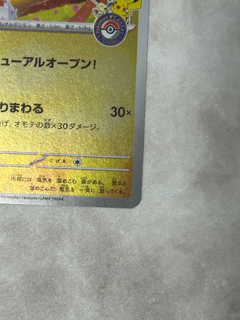 トウホクのピカチュウ