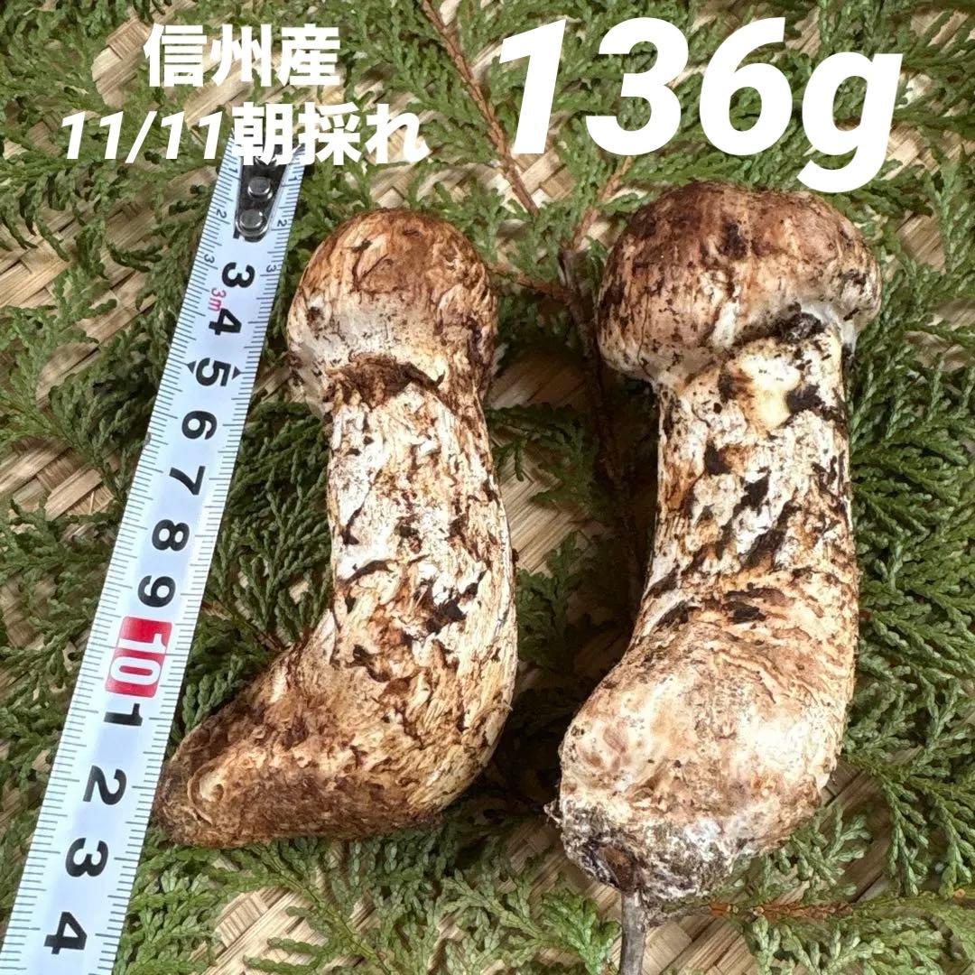 長野県南信州産‼️松茸 中　2本セット 136g 11/11朝採れ