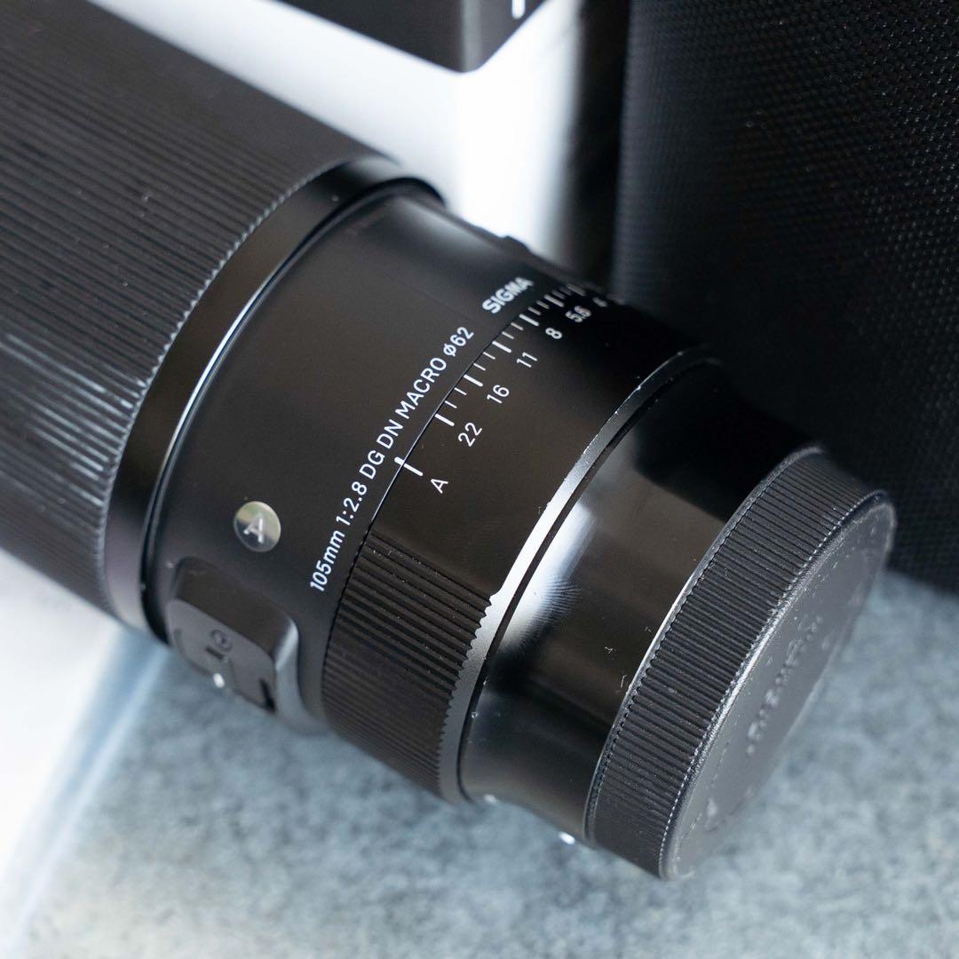 SIGMA 105mm F2.8 DG DN Macro Art Eマウント