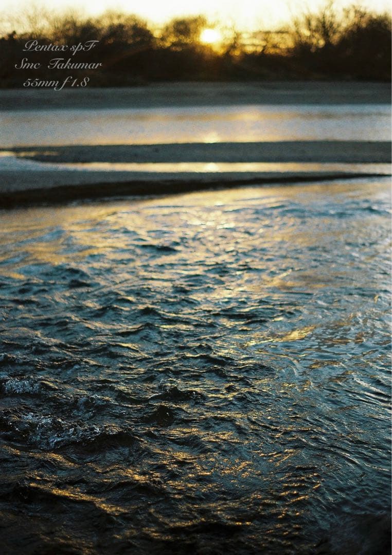 試写作例多数★pentax spf★リザード本革グリーン★美品＊完動品＊初期保証