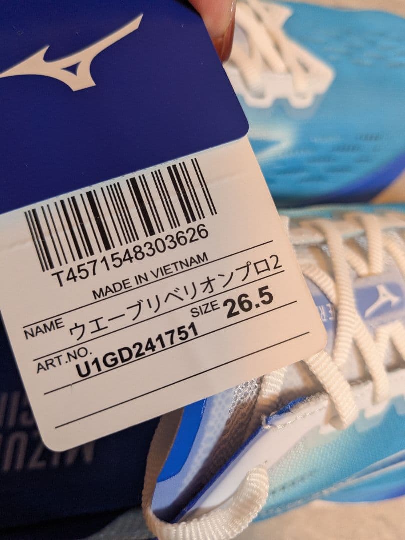 ミズノ MIZUNO メンズ ランニングシューズ ウエーブリベリオンプロ2