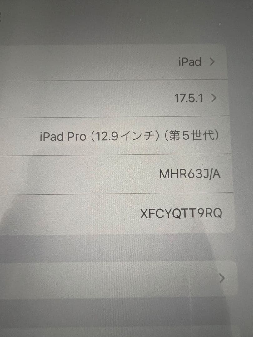 iPad Pro 12.9インチ 第5世代 wifi cellular