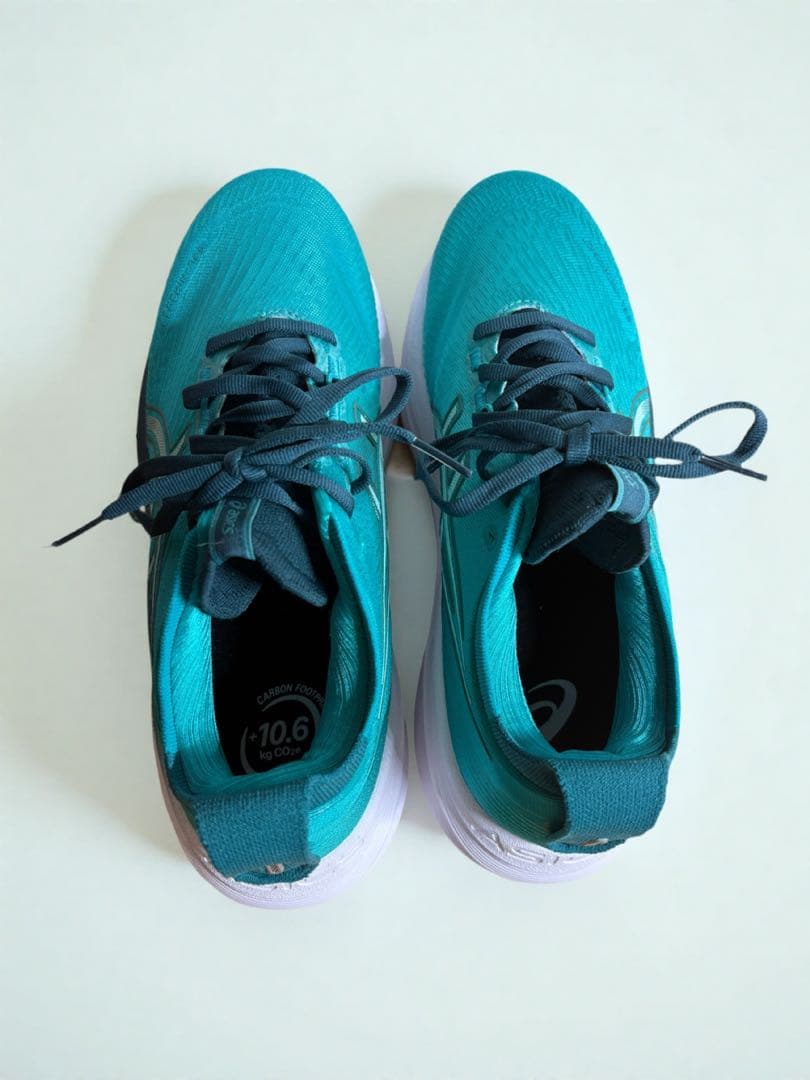 【極美品】ASICS ゲルニンバス27 GEL-NIMBUS 25cm ⚠️状態良