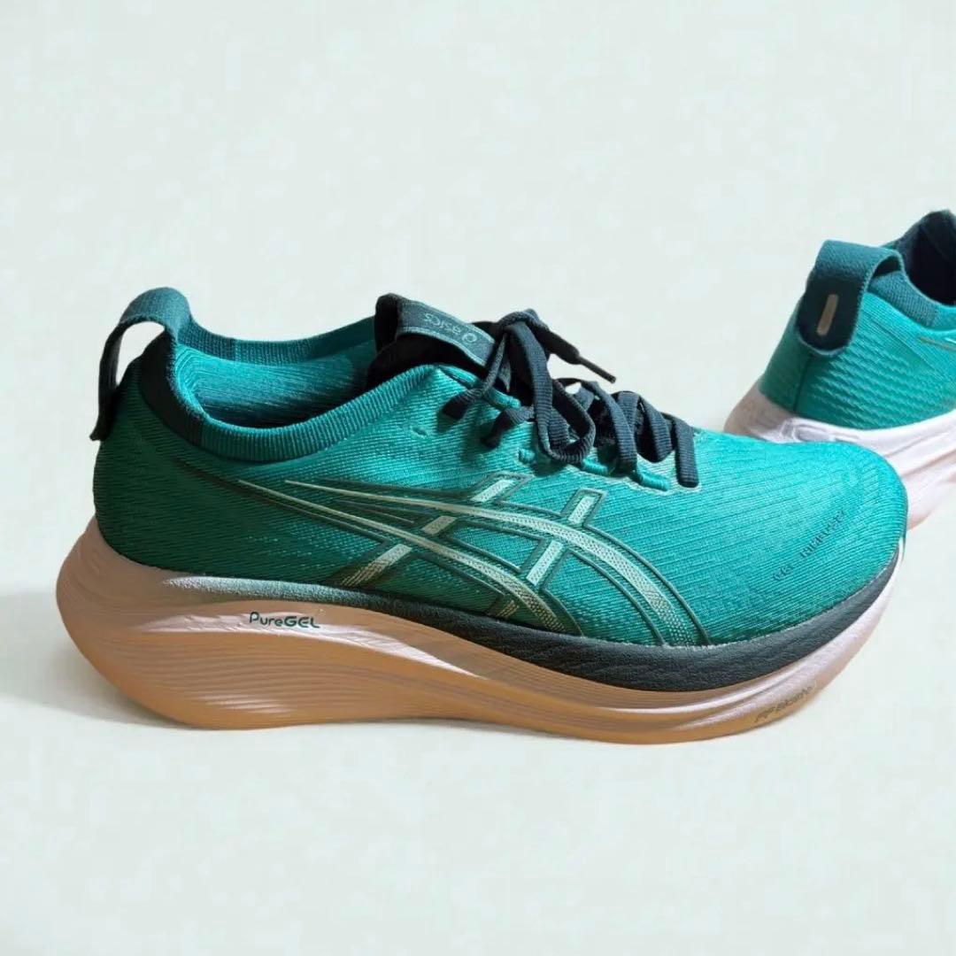 【極美品】ASICS ゲルニンバス27 GEL-NIMBUS 25cm ⚠️状態良