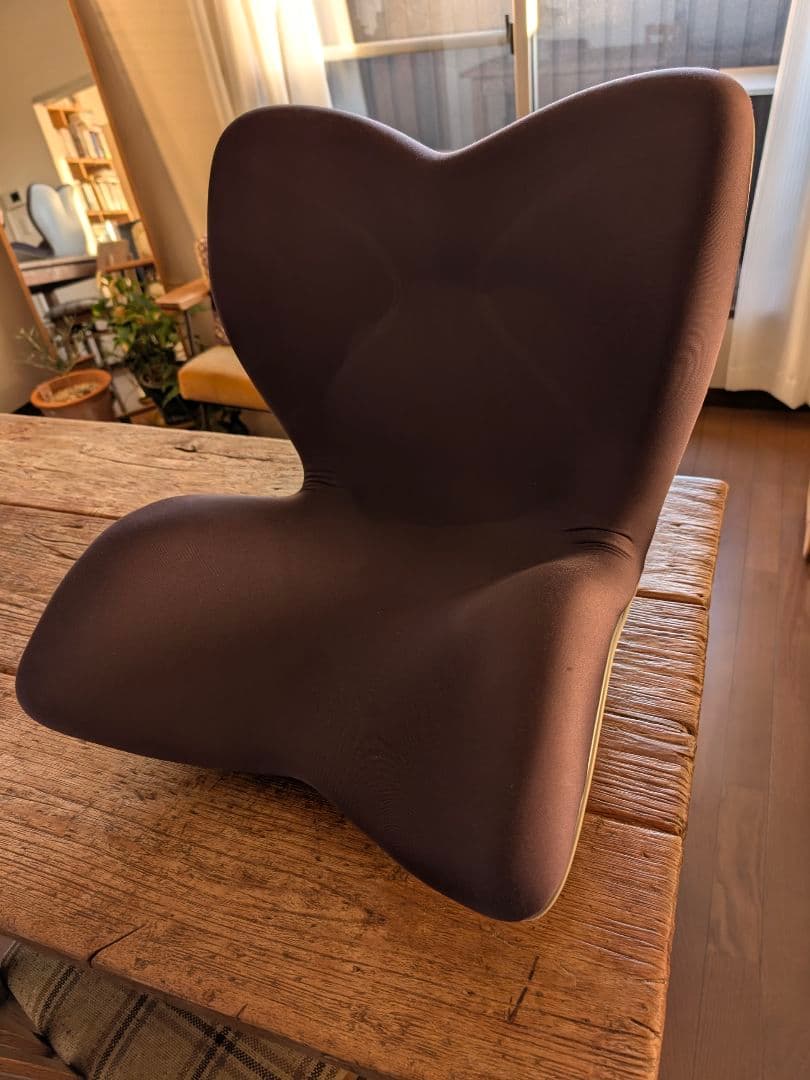 スタイルプレミアム　骨盤・姿勢矯正クッション ブラウン