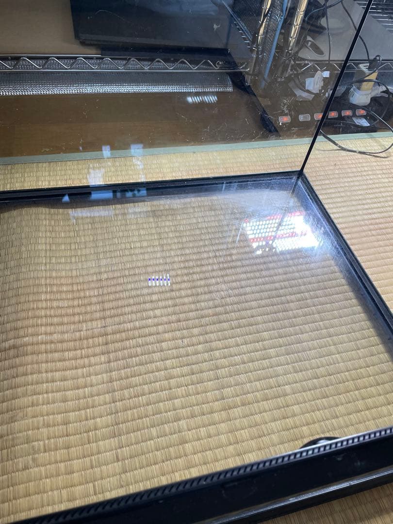 引取限定 GEX グラステラリウム9045 爬虫類 ケージ