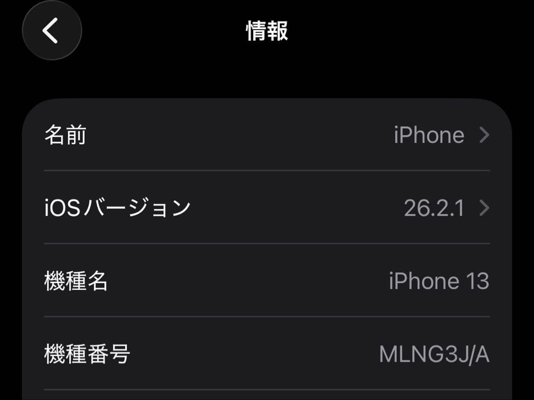 D*送様 Apple iPhone 13 128GB ブルー