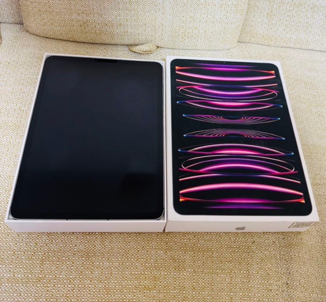 極美品 iPad Pro M2 11インチ　4世代