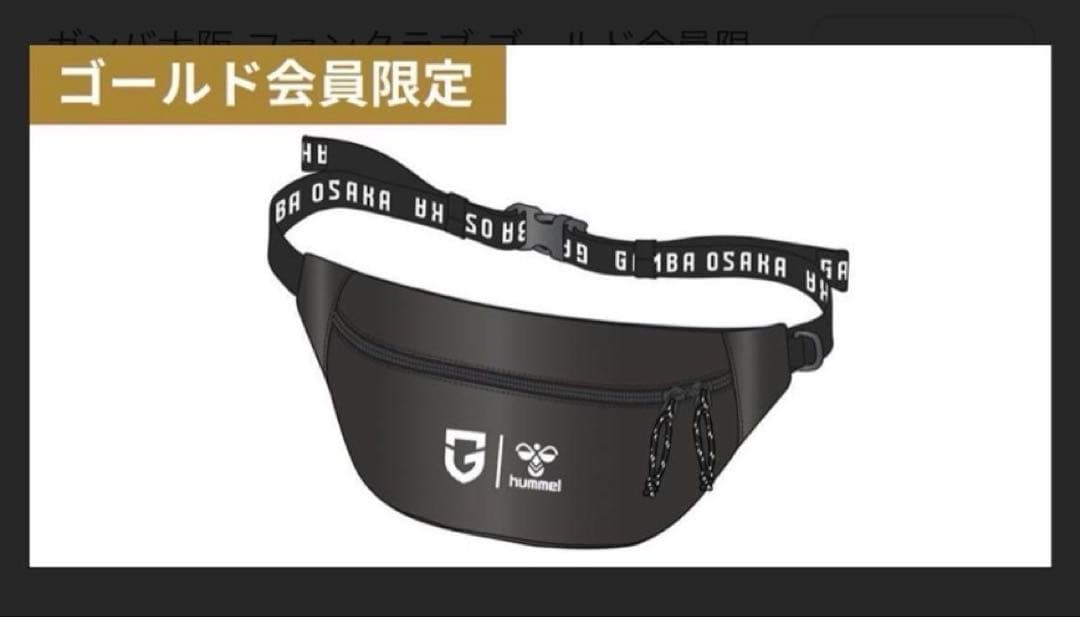 《新品未使用品》ガンバ大阪2025年プレミアムメンバー特典グッズ2点セット