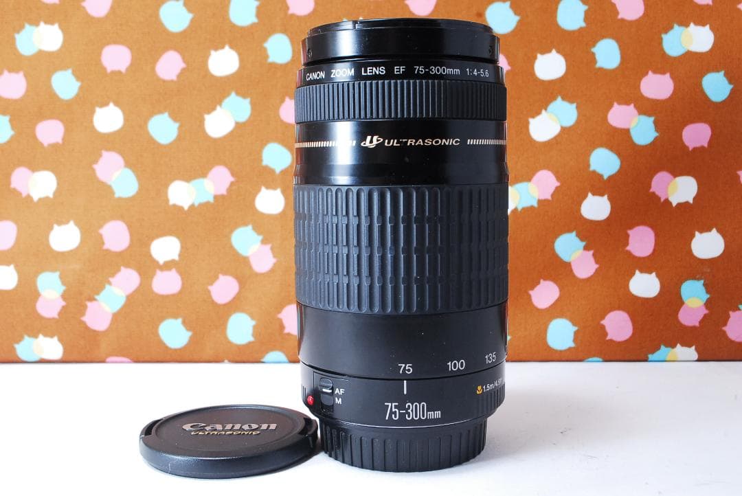✨人気の望遠レンズ✨Canon EF 75-300mm F4-5.6