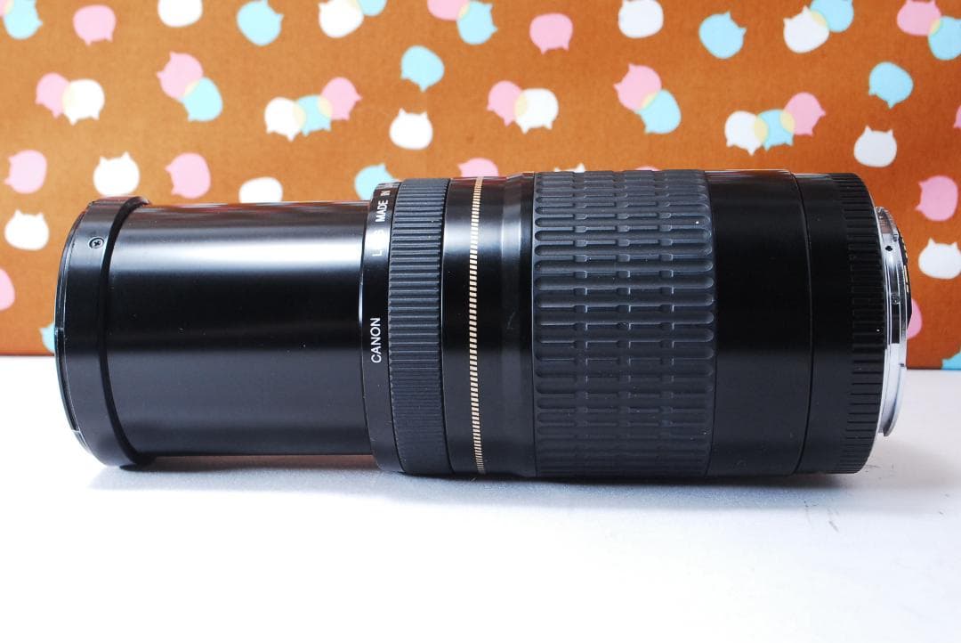 ✨人気の望遠レンズ✨Canon EF 75-300mm F4-5.6