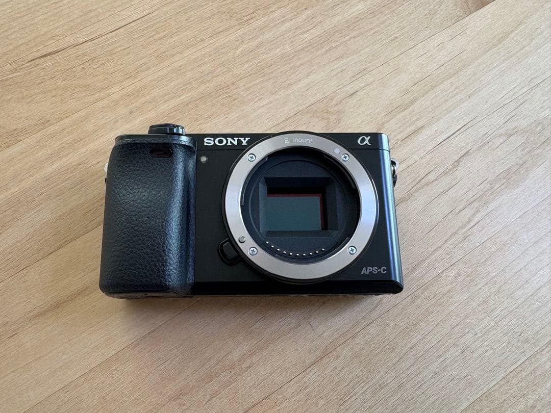ミ*ギ様 SONY α6000 ボディ＋付属品