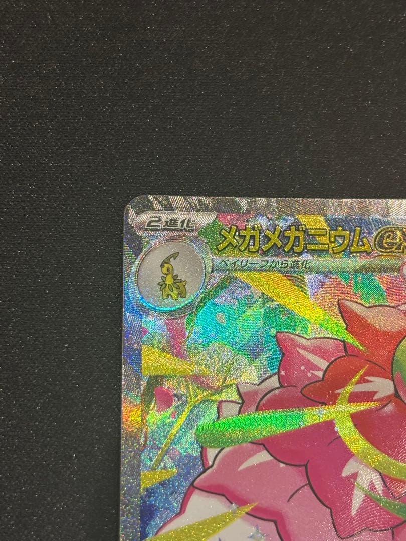 メガメガニウムex SAR 進化ライン付き