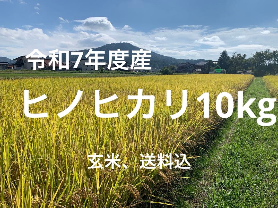令和7年度産　新米ヒノヒカリ　10kg(玄米)送料込