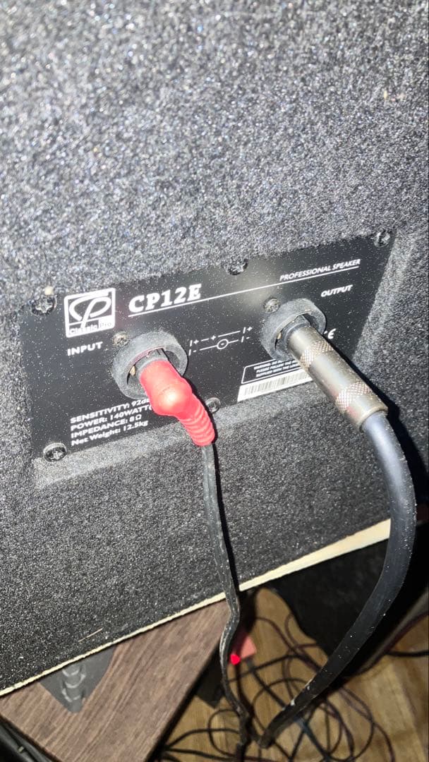 CP12E パッシブスピーカー 黒 2台セット！